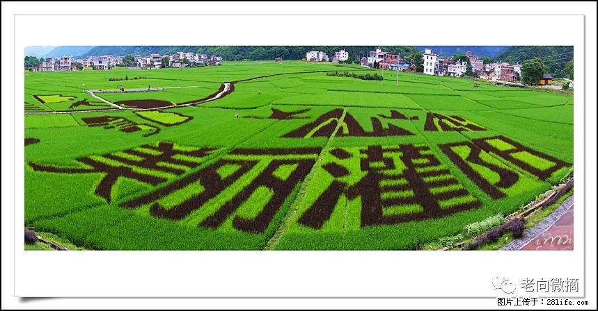 【春天,广西桂林灌阳县向您发出邀请!】开篇 - 游山玩水 - 盘锦生活社区 - 盘锦28生活网 pj.28life.com