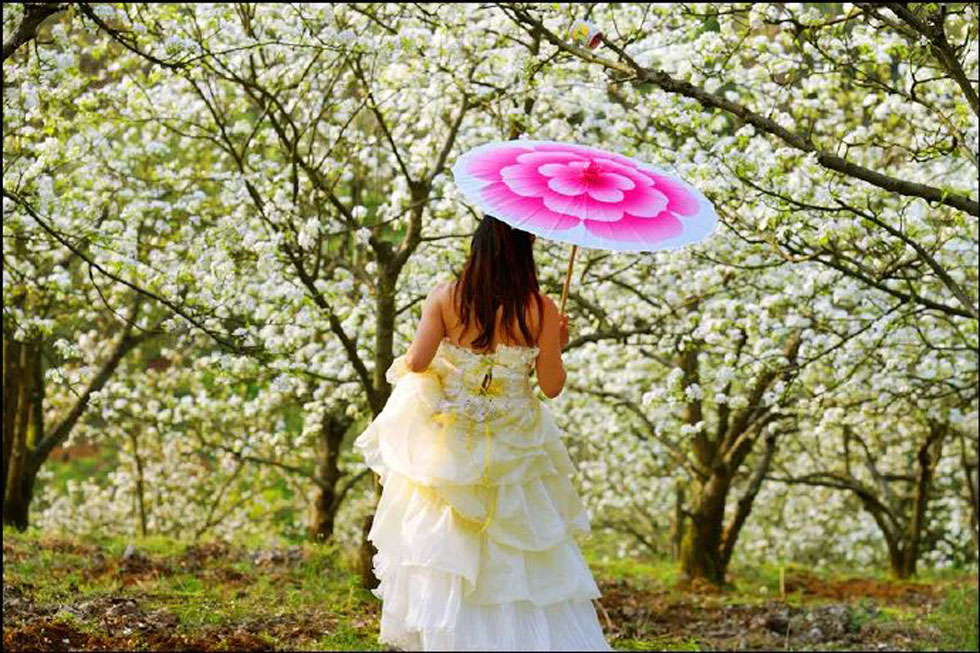 【春天,广西桂林灌阳县向您发出邀请!】我们在灌阳看梨花 - 游山玩水 - 盘锦生活社区 - 盘锦28生活网 pj.28life.com