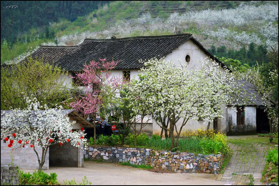 【春天,广西桂林灌阳县向您发出邀请!】我们在灌阳看梨花 - 游山玩水 - 盘锦生活社区 - 盘锦28生活网 pj.28life.com