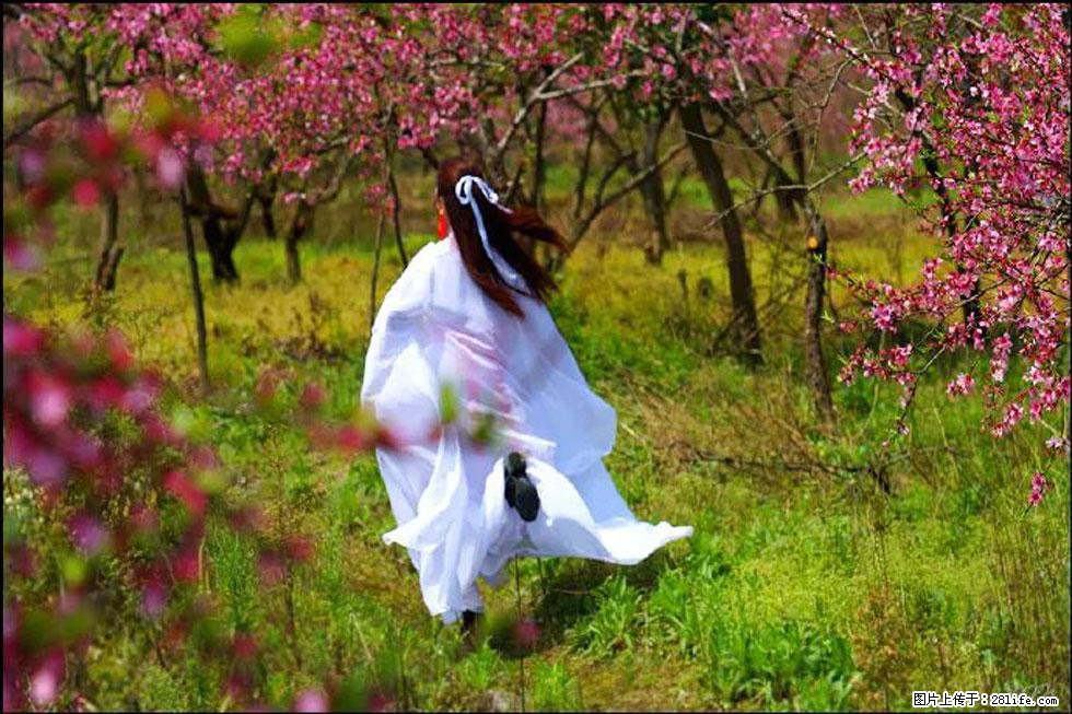 【春天,广西桂林灌阳县向您发出邀请!】官庄村有个醉美的桃花园 - 游山玩水 - 盘锦生活社区 - 盘锦28生活网 pj.28life.com