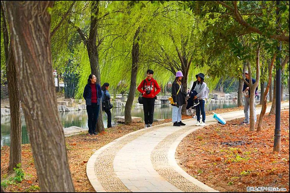 【春天,广西桂林灌阳县向您发出邀请!】江口老街又逢春 - 游山玩水 - 盘锦生活社区 - 盘锦28生活网 pj.28life.com