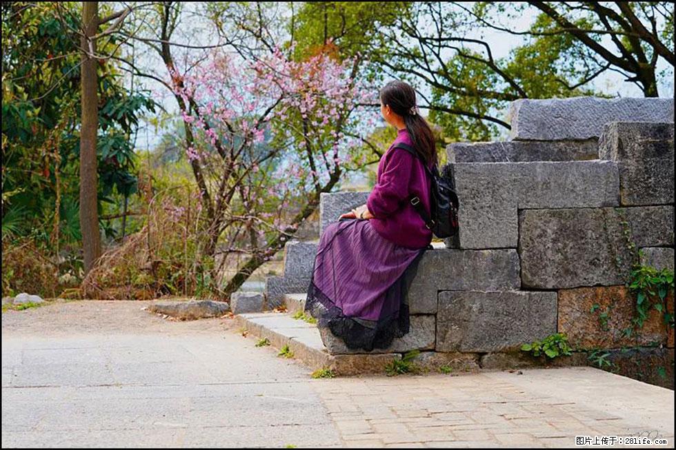 【春天,广西桂林灌阳县向您发出邀请!】江口老街又逢春 - 游山玩水 - 盘锦生活社区 - 盘锦28生活网 pj.28life.com