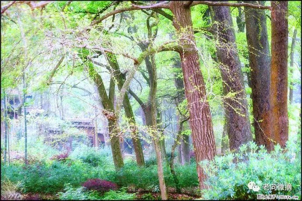 【春天,广西桂林灌阳县向您发出邀请!】在小龙村与春天约会 - 游山玩水 - 盘锦生活社区 - 盘锦28生活网 pj.28life.com