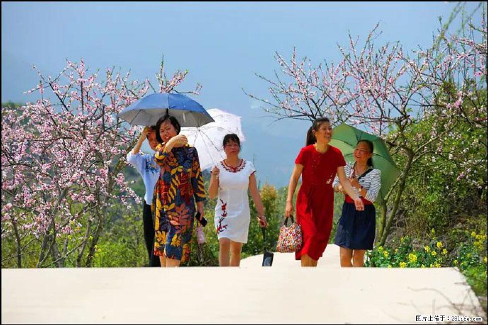 【春天,广西桂林灌阳县向您发出邀请!】望月岭上桃花开 - 游山玩水 - 盘锦生活社区 - 盘锦28生活网 pj.28life.com