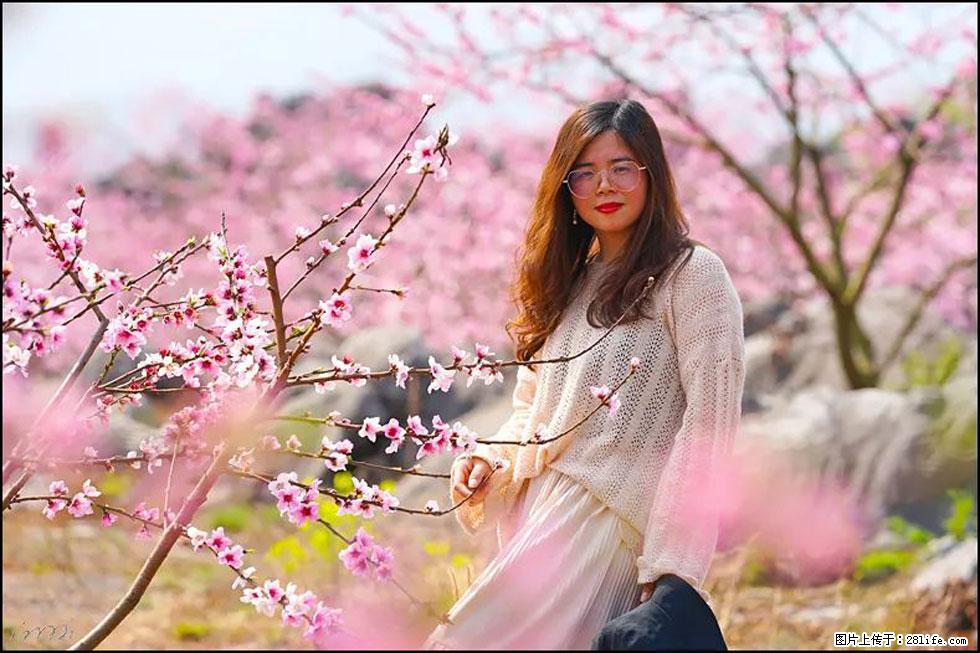 【春天,广西桂林灌阳县向您发出邀请!】望月岭上桃花开 - 游山玩水 - 盘锦生活社区 - 盘锦28生活网 pj.28life.com