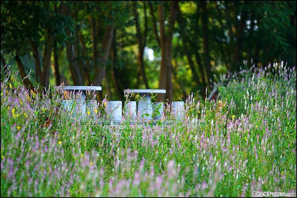 【春天，广西桂林灌阳县向您发出邀请！】熊家寨湿地公园 - 游山玩水 - 盘锦生活社区 - 盘锦28生活网 pj.28life.com