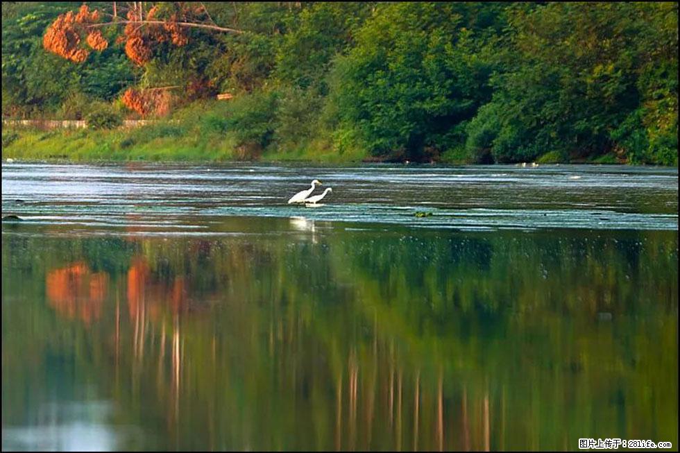 【春天，广西桂林灌阳县向您发出邀请！】熊家寨湿地公园 - 游山玩水 - 盘锦生活社区 - 盘锦28生活网 pj.28life.com
