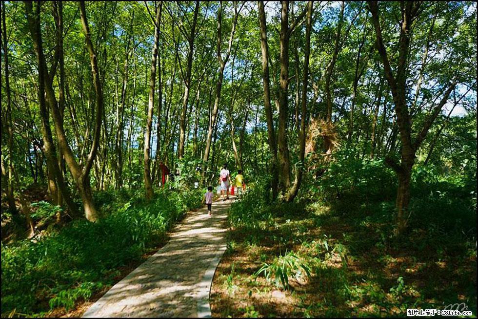 【春天，广西桂林灌阳县向您发出邀请！】熊家寨湿地公园 - 游山玩水 - 盘锦生活社区 - 盘锦28生活网 pj.28life.com