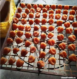 广西桂林平乐桥亭【柿饼之乡】2025年纯手工制作、无任何添加剂的第一批柿饼准备上市了，欢迎联系订购！ - 盘锦28生活网 pj.28life.com