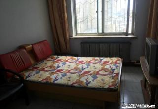 (单间出租)兴隆台区兴隆大厦天桥路北出租女生单间 - 盘锦28生活网 pj.28life.com