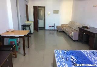 兴隆台区新广厦领寓C座能办公又能住人的公寓出租 - 盘锦28生活网 pj.28life.com