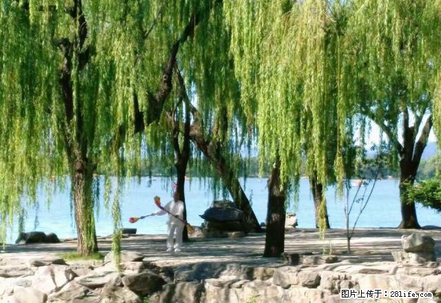 幸福小区,室内简单,干净 - 房屋出租 - 房屋租售 - 盘锦分类信息 - 盘锦28生活网 pj.28life.com