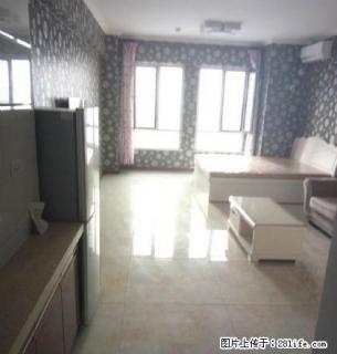 金马正和 拎包入住 年租年付 精装修 屋里贼板正 - 盘锦28生活网 pj.28life.com