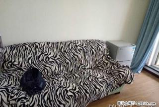 佳兆业 两室一厅 采光好 拎包入户 - 盘锦28生活网 pj.28life.com