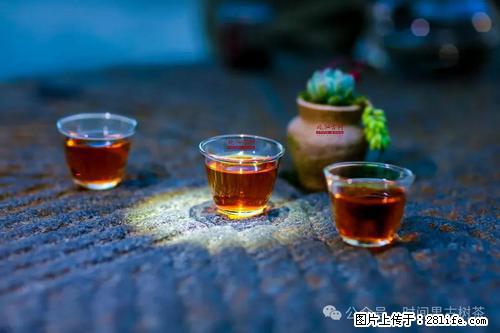 时间果百年古树红茶 - 其它 - 特色礼品 - 盘锦分类信息 - 盘锦28生活网 pj.28life.com