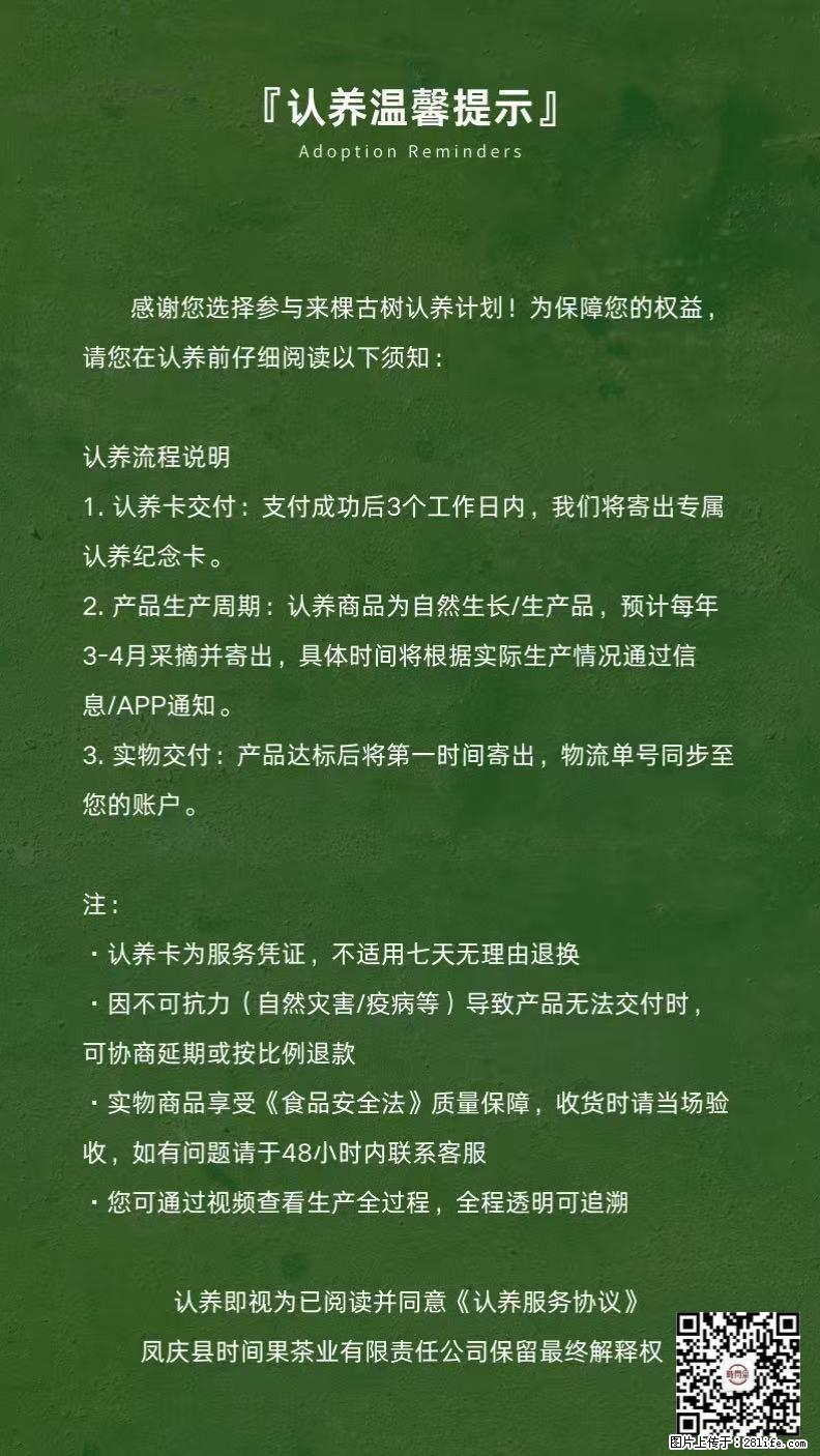 你也可以有一棵自己的古茶树 - 农作物 - 农林牧渔 - 盘锦分类信息 - 盘锦28生活网 pj.28life.com