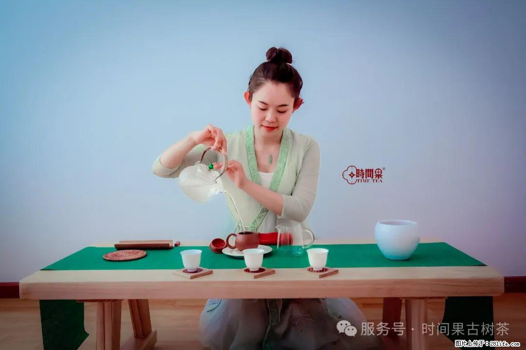 时间果百年古树龙珠普洱生茶 - 购物交流 - 盘锦生活社区 - 盘锦28生活网 pj.28life.com