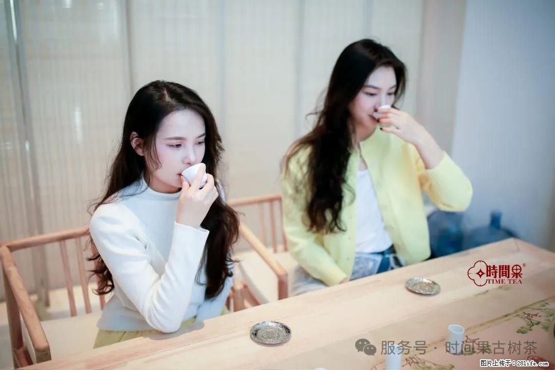 时间果百年古树龙珠普洱生茶 - 购物交流 - 盘锦生活社区 - 盘锦28生活网 pj.28life.com