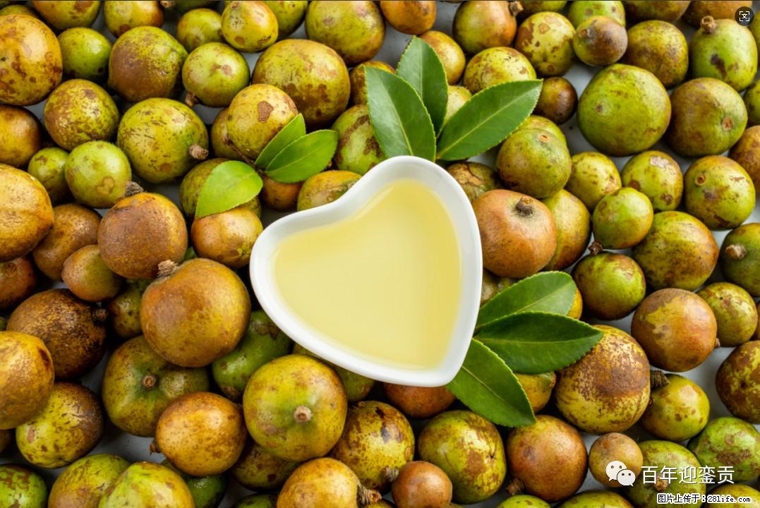 世界没有真相,只有认知,最好的食用油是中国的山茶油! - 盘锦生活资讯 - 盘锦28生活网 pj.28life.com