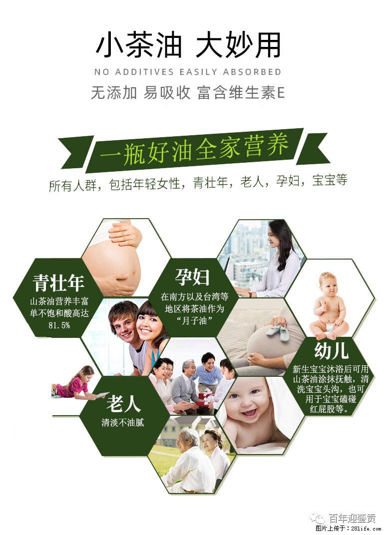 世界没有真相,只有认知,最好的食用油是中国的山茶油! - 盘锦生活资讯 - 盘锦28生活网 pj.28life.com