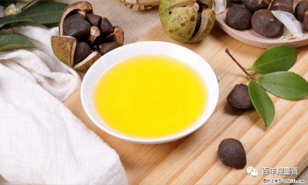 世界没有真相,只有认知,最好的食用油是中国的山茶油! - 盘锦生活资讯 - 盘锦28生活网 pj.28life.com