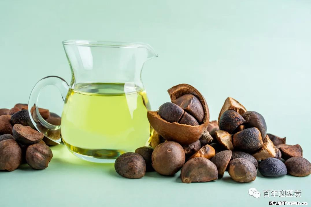 世界没有真相，只有认知，最好的食用油是中国的山茶油！ - 盘锦生活资讯 - 盘锦28生活网 pj.28life.com