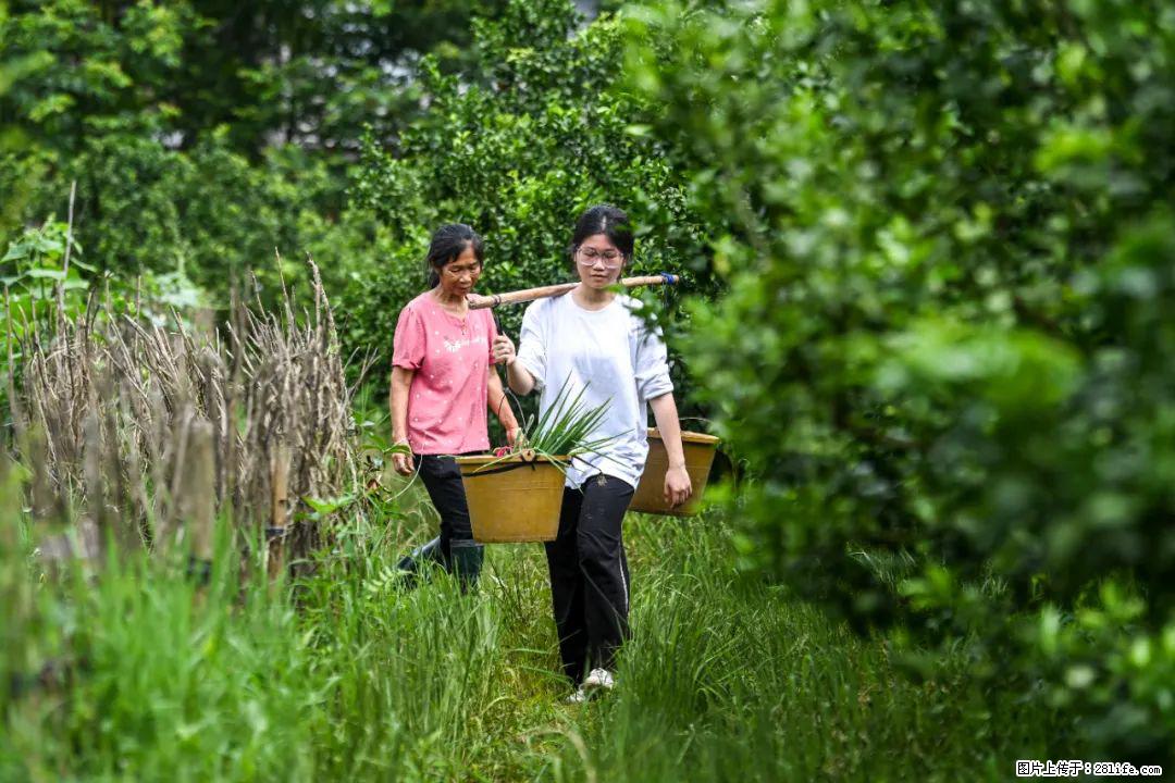 全网追的“扁担女孩”，找了一份暑假工，时薪12元 - 盘锦生活资讯 - 盘锦28生活网 pj.28life.com