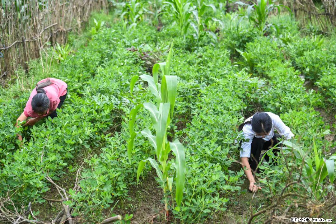 全网追的“扁担女孩”，找了一份暑假工，时薪12元 - 盘锦生活资讯 - 盘锦28生活网 pj.28life.com