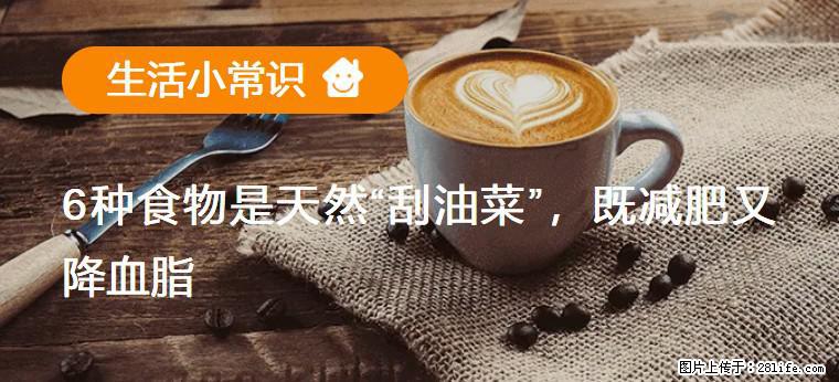 【生活小常识】6种食物是天然“刮油菜”，既减肥又降血脂 - 盘锦生活资讯 - 盘锦28生活网 pj.28life.com