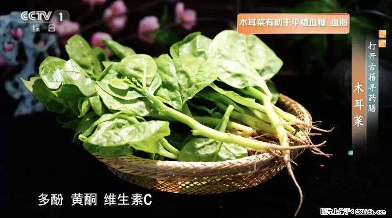 比牛奶补钙还厉害!凉血解毒、稳血糖...这菜冬天必吃,很多人却当草 - 盘锦生活资讯 - 盘锦28生活网 pj.28life.com