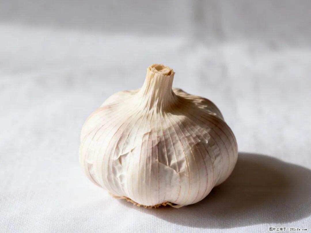 关于大蒜，除了“天然抗生素”，这4个谣言更该警惕! - 盘锦生活资讯 - 盘锦28生活网 pj.28life.com