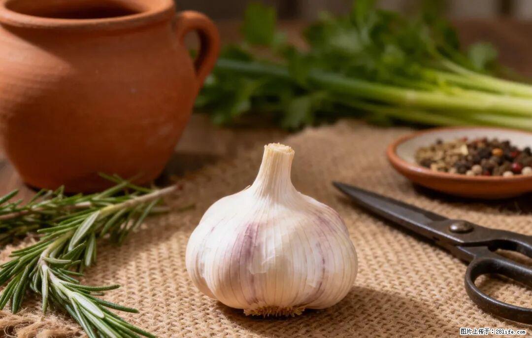 关于大蒜，除了“天然抗生素”，这4个谣言更该警惕! - 盘锦生活资讯 - 盘锦28生活网 pj.28life.com
