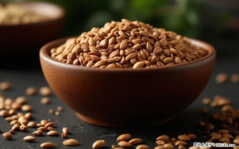 这三苦是三高“克星”，心血管干净不易堵！每天吃一点，指标慢慢降下来~ - 盘锦生活资讯 - 盘锦28生活网 pj.28life.com