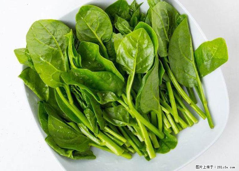 这些蔬菜是“天然钙片”，这6种被医生重点推荐 - 盘锦生活资讯 - 盘锦28生活网 pj.28life.com