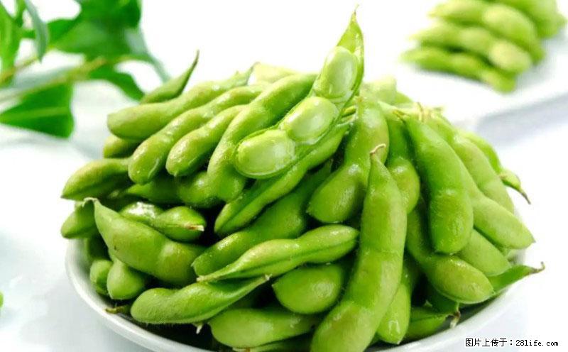 这些蔬菜是“天然钙片”，这6种被医生重点推荐 - 盘锦生活资讯 - 盘锦28生活网 pj.28life.com