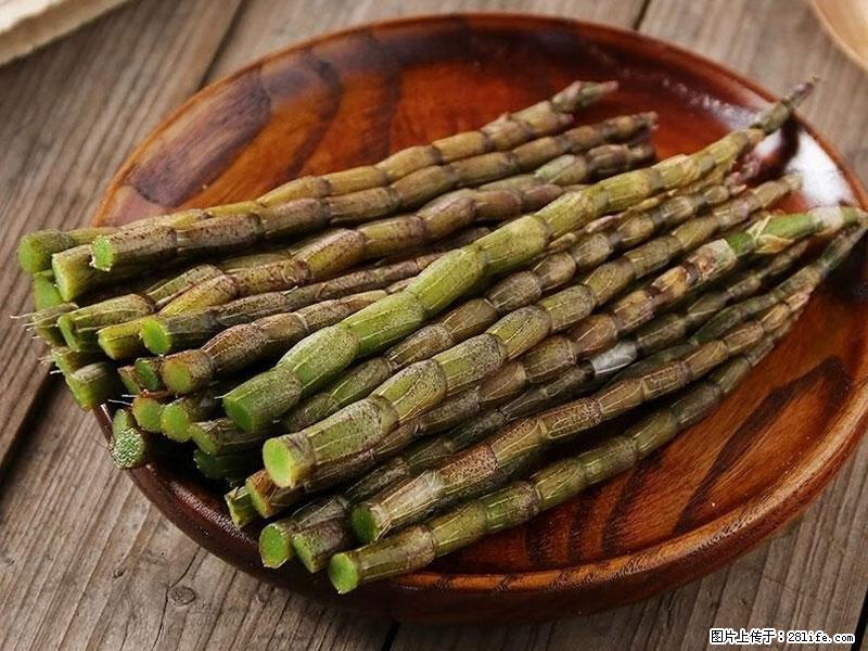 铁皮石斛的作用与功能主治 - 盘锦生活资讯 - 盘锦28生活网 pj.28life.com