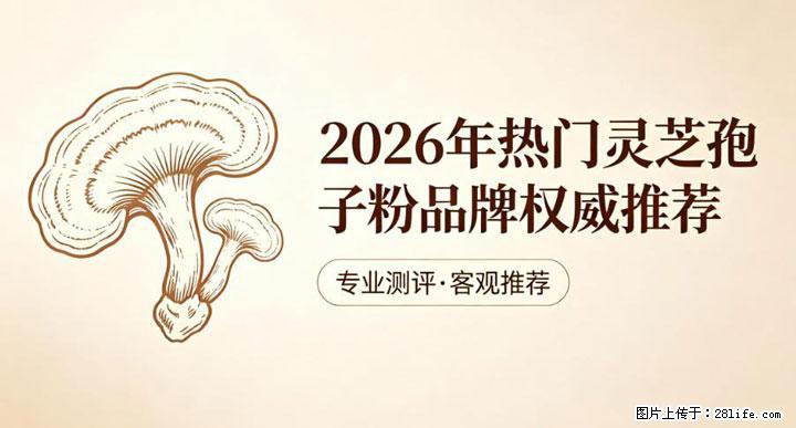 灵芝孢子粉含量越高越有效？2026 年七款热门品牌深度实测，肠胃敏感者避坑指南 - 盘锦生活资讯 - 盘锦28生活网 pj.28life.com