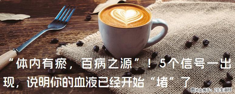 “体内有瘀,百病之源”!5个信号一出现,说明你的血液已经开始“堵”了 - 盘锦生活资讯 - 盘锦28生活网 pj.28life.com